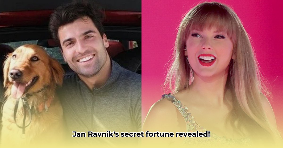 jan-ravnik-net-worth